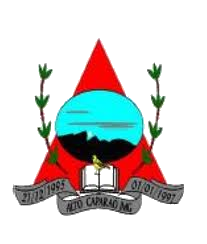 Brasão de Alto Caparaó